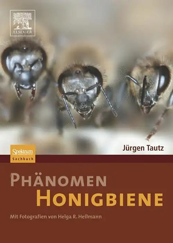 Phänomen honigbiene - phänomen,