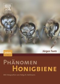 Phänomen honigbiene - phänomen,