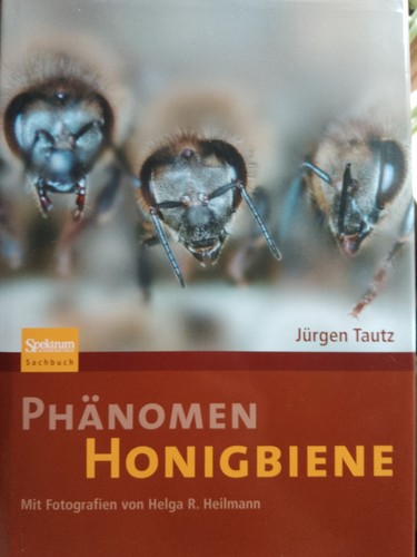 Phänomen honigbiene von - phänomen,